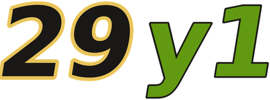 29y1 logo